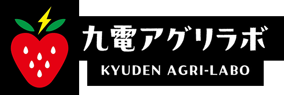 九電アグリラボ